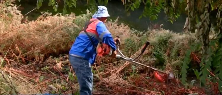 ТУРКЕСТАН: В САЙРАМЕ В РАМКАХ ДЕКАДЫ «АУЫЛ — ЕЛ ТІРЕГІ» ОРГАНИЗОВАНЫ БЛАГОТВОРИТЕЛЬНЫЕ МЕРОПРИЯТИЯ