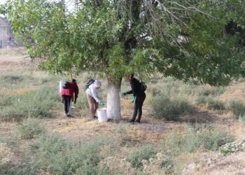 ТҮРКІСТАН: САЙРАМДА «АУЫЛ – ЕЛ ТІРЕГІ» ОНКҮНДІГІ АЯСЫНДА КӨШЕЛЕР ЖӨНДЕЛІП, ЖАРЫҚШАМДАР ЖАРҚЫРАДЫ