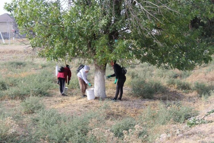 ТҮРКІСТАН: САЙРАМДА «АУЫЛ – ЕЛ ТІРЕГІ» ОНКҮНДІГІ АЯСЫНДА КӨШЕЛЕР ЖӨНДЕЛІП, ЖАРЫҚШАМДАР ЖАРҚЫРАДЫ