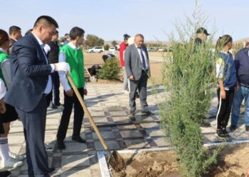 ТҮРКІСТАН: ТҮЛКІБАС АУДАНЫНДА РЕСПУБЛИКА КҮНІНЕ ОРАЙ 300 ТҮП ШЫРША АҒАШЫ ОТЫРҒЫЗЫЛДЫ