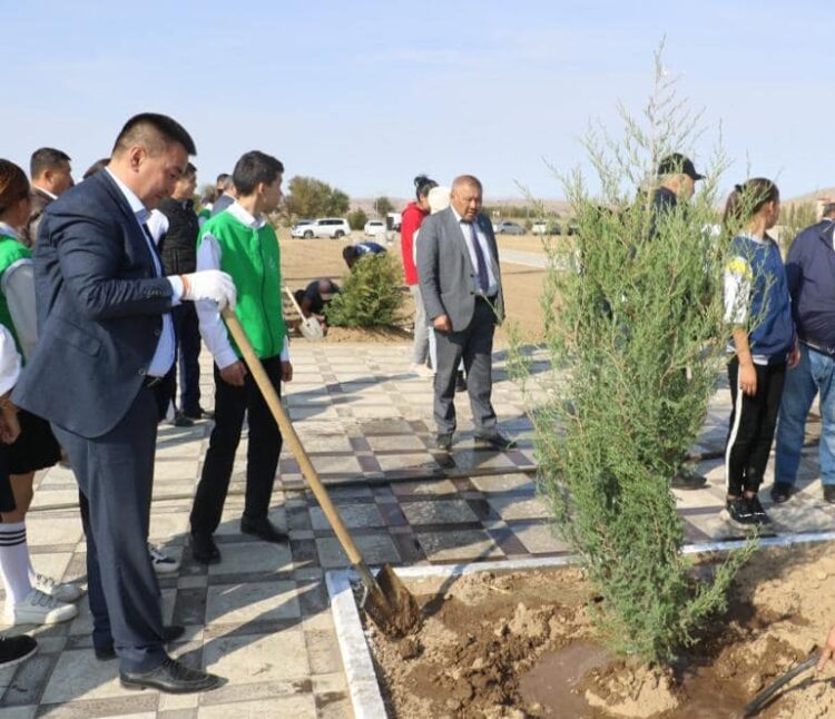 ТҮРКІСТАН: ТҮЛКІБАС АУДАНЫНДА РЕСПУБЛИКА КҮНІНЕ ОРАЙ 300 ТҮП ШЫРША АҒАШЫ ОТЫРҒЫЗЫЛДЫ