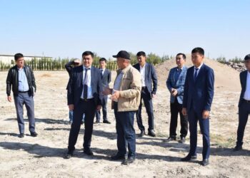 ОТЫРАР АУДАНЫНЫҢ ӘКІМІ БІРҚАТАР КӘСІПКЕРЛІК НЫСАНДАРДЫ АРАЛАДЫ