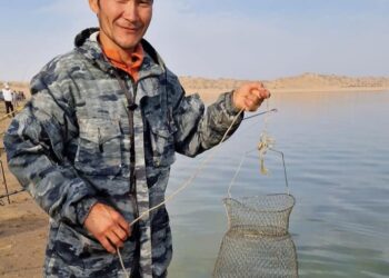 ТҮРКІСТАН: БАЛЫҚТЫ ДА БАБЫН БІЛГЕН АУЛАЙДЫ