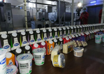 ТҮРКІСТАН: «БӨРТЕ МИЛКА» КӘСІПОРНЫ ТӘУЛІГІНЕ 15 ТОННА СҮТ ӨНДІРЕДІ