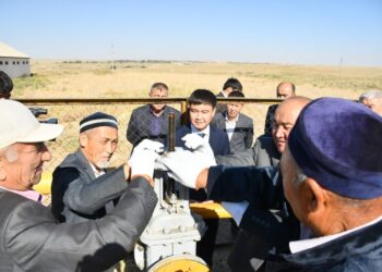 “КӨГІЛДІР ОТЫН” — КӨПТЕН КҮТКЕН ИГІЛІК