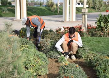 ТҮРКІСТАНДА ЖЫЛ БАСЫНАН БЕРІ 15 МЫҢНАН АСА КӨШЕТ ЕГІЛГЕН