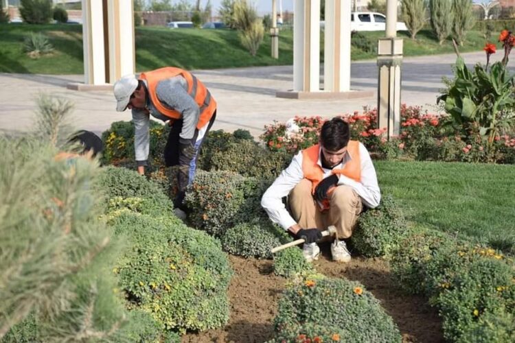 ТҮРКІСТАНДА ЖЫЛ БАСЫНАН БЕРІ 15 МЫҢНАН АСА КӨШЕТ ЕГІЛГЕН