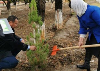 «ЖАСЫЛ ЧЕЛЛЕНДЖ» ІС-ШАРАСЫ ТҮРКІСТАНДА ЖАЛҒАСТЫ