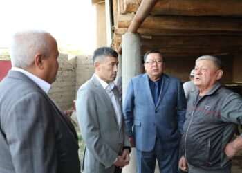 ТҮРКІСТАН: САРЫАҒАШ АУДАНЫНДА МАЛ ШАРУАШЫЛЫҒЫ ӨРКЕНДЕП ЖАТЫР