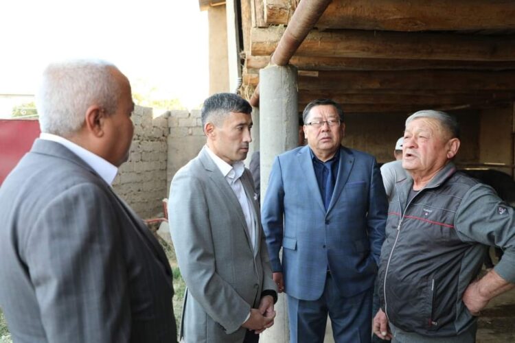 ТҮРКІСТАН: САРЫАҒАШ АУДАНЫНДА МАЛ ШАРУАШЫЛЫҒЫ ӨРКЕНДЕП ЖАТЫР