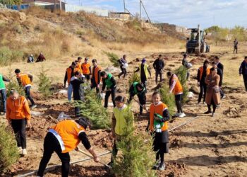 ТҮРКІСТАН: ШАРДАРАДА «ЖАСТАР» АЛЛЕЯСЫ АШЫЛДЫ