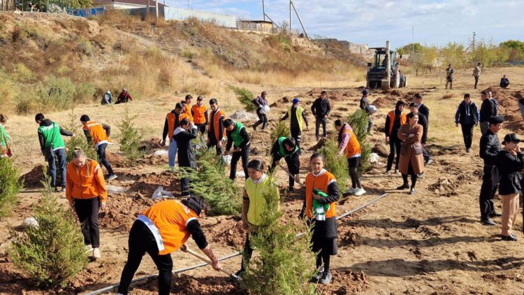 ТҮРКІСТАН: ШАРДАРАДА «ЖАСТАР» АЛЛЕЯСЫ АШЫЛДЫ