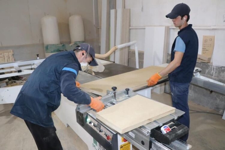 ТУРКЕСТАН: МЕБЕЛЬ, ПРОИЗВЕДЕННУЮ В САУРАНЕ, ОТПРАВЛЯЮТ В КЫРГЫЗСТАН