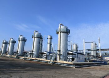 ТҮРКІСТАН: ТӨЛЕБИДЕ ЖАҢА КӘСІПОРЫН АШЫЛДЫ