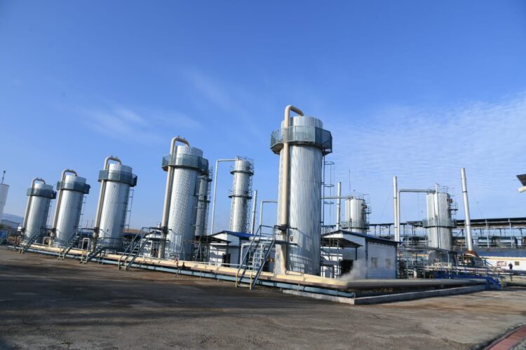 ТҮРКІСТАН: ТӨЛЕБИДЕ ЖАҢА КӘСІПОРЫН АШЫЛДЫ