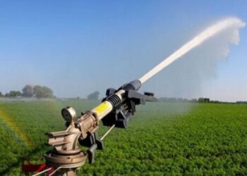 ҚАЗЫҒҰРТ: АГРОӨНДІРІСТЕ ЖАҢА ТЕХНОЛОГИЯЛАР ЕНГІЗІЛУДЕ