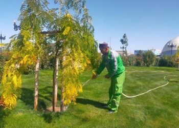 Түркістан қаласын абаттандыру жұмыстары қарқынды жүруде