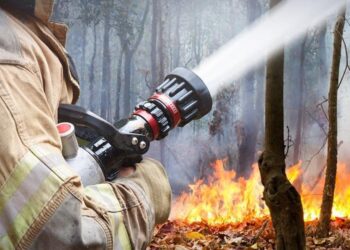 ТАБИҒАТТЫ ӨРТТЕН ҚОРҒАЙЫҚ