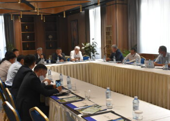 ЖӘДІГЕР ШАҺАР ЖАСЫЛ ЖЕЛЕККЕ АЙНАЛМАҚ