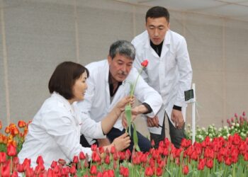 А.Ошибаева: «ЖЕМІСТІ ҒЫЛЫМИ ЖҰМЫСТАР АЙМАҚТЫҢ ДАМУЫНА СЕРПІН БЕРЕДІ»