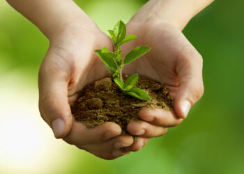 ҚОРШАҒАН ОРТАНЫҢ АДАМ АҒЗАСЫНА ӘСЕРІ