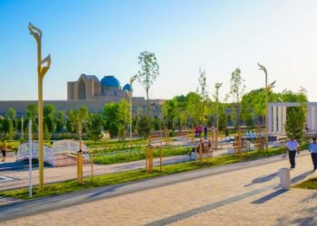 Абаттандыруы ерекше Түркістан