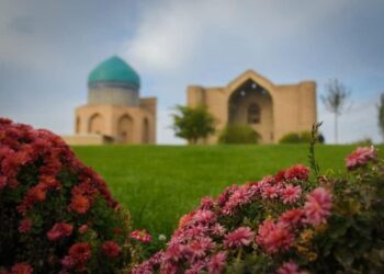 Түркістан жасыл қалаға айналып келеді