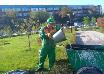 ШЫМКЕНТТЕ КҮЗГІ ТАЗАЛЫҚ ЖҰМЫСТАРЫ ЖАЛҒАСУДА