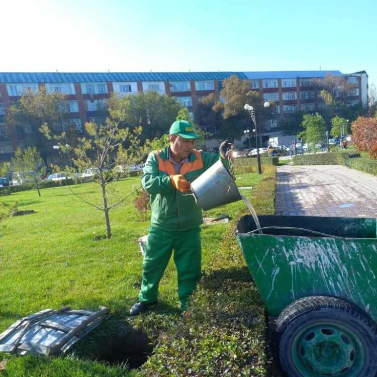 ШЫМКЕНТТЕ КҮЗГІ ТАЗАЛЫҚ ЖҰМЫСТАРЫ ЖАЛҒАСУДА