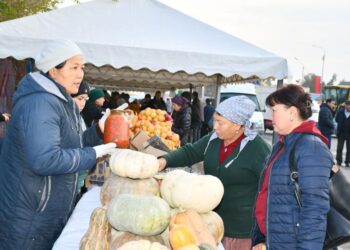 ТҮРКІСТАН: ОРДАБАСЫДА АУЫЛ ШАРУАШЫЛЫҒЫ САЛАСЫНДАҒЫ ТАБЫС 3 МЛРД. ТЕҢГЕГЕ АРТТЫ