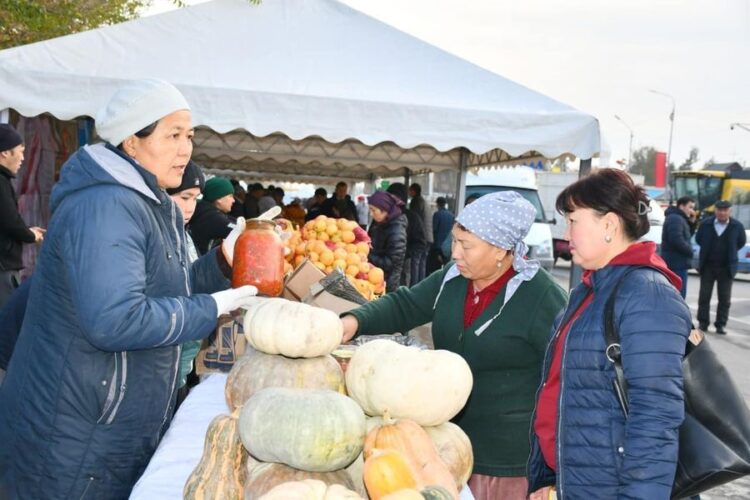 ТҮРКІСТАН: ОРДАБАСЫДА АУЫЛ ШАРУАШЫЛЫҒЫ САЛАСЫНДАҒЫ ТАБЫС 3 МЛРД. ТЕҢГЕГЕ АРТТЫ