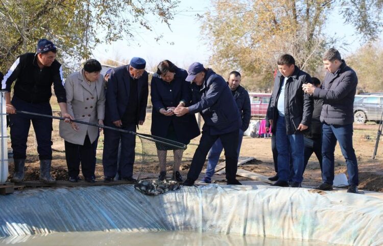 ТҮРКІСТАН: АРЫС ӨҢІРІНДЕ БАЛЫҚ ӨСІРУ ШАРУАШЫЛЫҒЫ ӨРКЕНДЕП КЕЛЕДІ