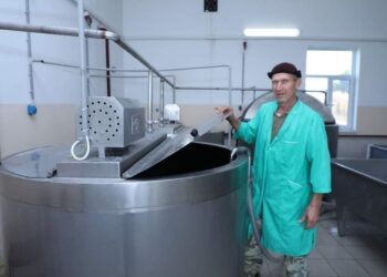 ТҮРКІСТАН: САРЫАҒАШТАҒЫ КӘСІПОРЫН ТӘУЛІГІНЕ 20 ТОННА СҮТ ӨҢДЕЙДІ