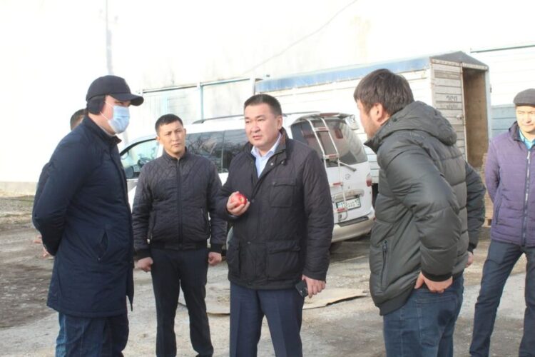 ТҮЛКІБАС-АЛМА БАҚҚА ОРАНҒАН ҚҰТТЫ МЕКЕН