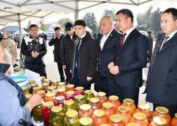 ТҮРКІСТАН: ОРДАБАСЫДА АУЫЛ ШАРУАШЫЛЫҒЫ САЛАСЫНДАҒЫ ТАБЫС 3 МЛРД. ТЕҢГЕГЕ АРТТЫ