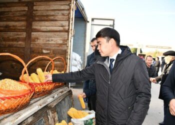 “АЛТЫН КҮЗ-2022”: ОРДАБАСЫДА АУЫЛШАРУАШЫЛЫҚ САЛАСЫНДАҒЫ ЖЕТІСТІКТЕР АЙШЫҚТАЛДЫ