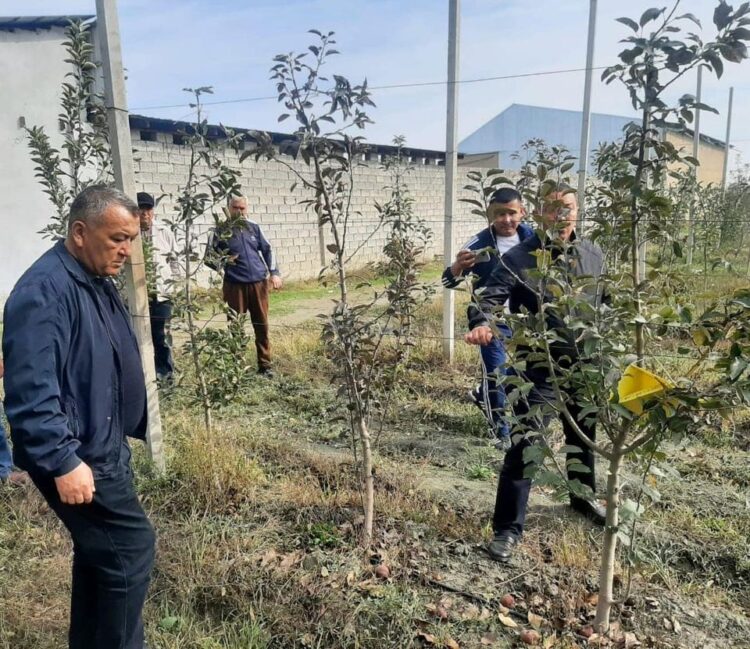 ТУРКЕСТАН: КРЕСТЬЯНЕ КЕЛЕССА УЕХАЛИ В УЗБЕКИСТАН ЗА ОПЫТОМ