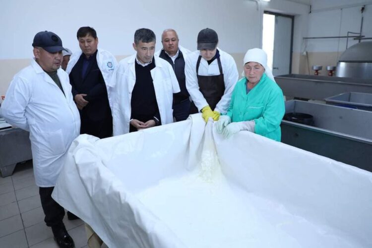 ТҮРКІСТАН: САРЫАҒАШТАҒЫ КӘСІПОРЫН ТӘУЛІГІНЕ 20 ТОННА СҮТ ӨҢДЕЙДІ