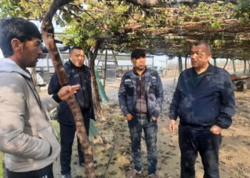 АҚМЕНТАЙ ЕСБАЕВ: КӨРШІ ЕЛДІҢ АУЫЛШАРУАШЫЛЫҒЫ САЛАСЫНДАҒЫ ТӘЖІРИБЕСІН КЕЛЕС АУДАНЫНДА ҚОЛДАНАМЫЗ