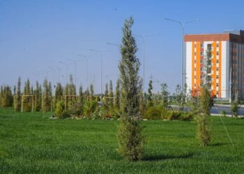 КҮЗДЕ ЕГІЛЕТІН АҒАШТАР ТҮРКІСТАН КЛИМАТЫНА ТӨЗІМДІ