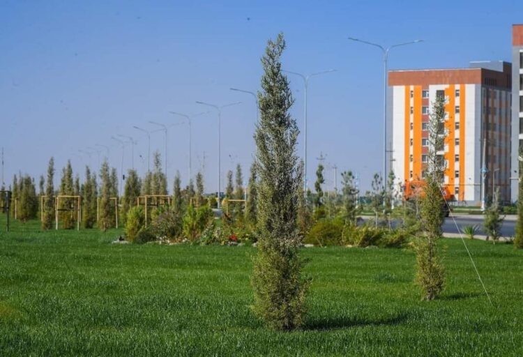 КҮЗДЕ ЕГІЛЕТІН АҒАШТАР ТҮРКІСТАН КЛИМАТЫНА ТӨЗІМДІ