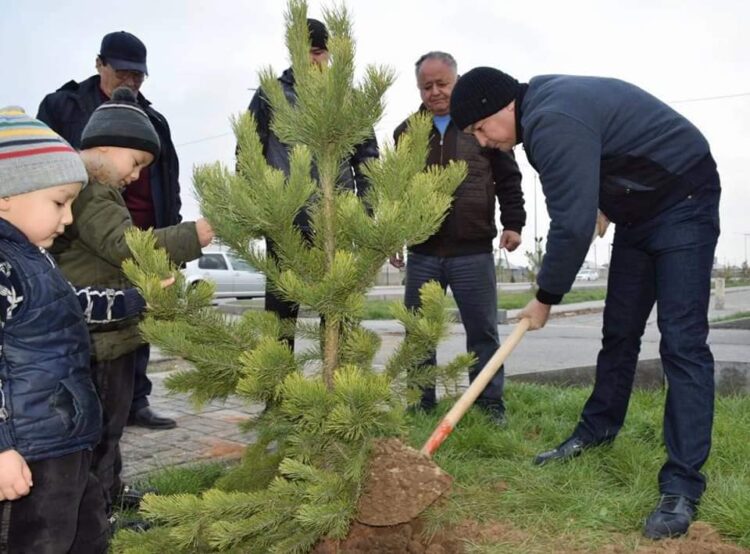 ТҮРКІСТАНДА «ОТБАСЫҢМЕН ОН ТАЛ ЕК» ЭКО-АКЦИЯСЫ ЖАЛҒАСЫН ТАПТЫ