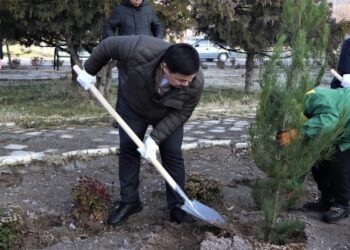 ТҮРКІСТАН: КЕНТАУДА «КӨГАЛДАНДЫРУ –  КӨПТІҢ ІСІ» АТТЫ ТАЛ ЕГУ АКЦИЯСЫ ӨТТІ