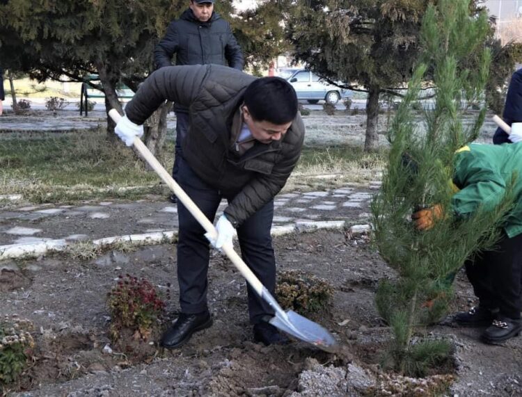 ТҮРКІСТАН: КЕНТАУДА «КӨГАЛДАНДЫРУ –  КӨПТІҢ ІСІ» АТТЫ ТАЛ ЕГУ АКЦИЯСЫ ӨТТІ