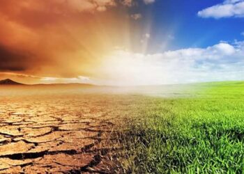 Туған жерді шөл ету де, көл ету де өз қолымызда