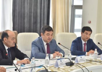 Д.Қыдырәлі: Тіліміз – татулықтың тілі болуы тиіс