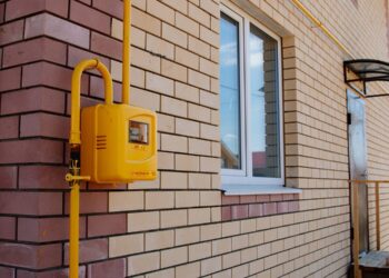 ТҮРКІСТАНДА ТАБИҒИ ГАЗҒА ҚОСЫЛУ КӨРСЕТКІШІ ӨСКЕН