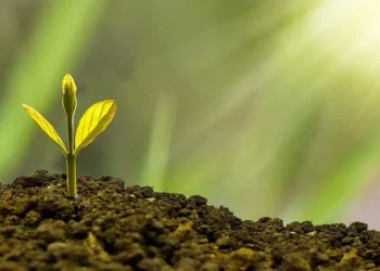 Жасыл экономика: Оны Қазақстан қалай жүзеге асырады?