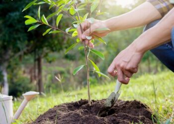 ТҰРҒЫНДАР ЖАСЫЛ ЖЕЛЕККЕ ЖАНАШЫРЛЫҚПЕН ҚАРАСА