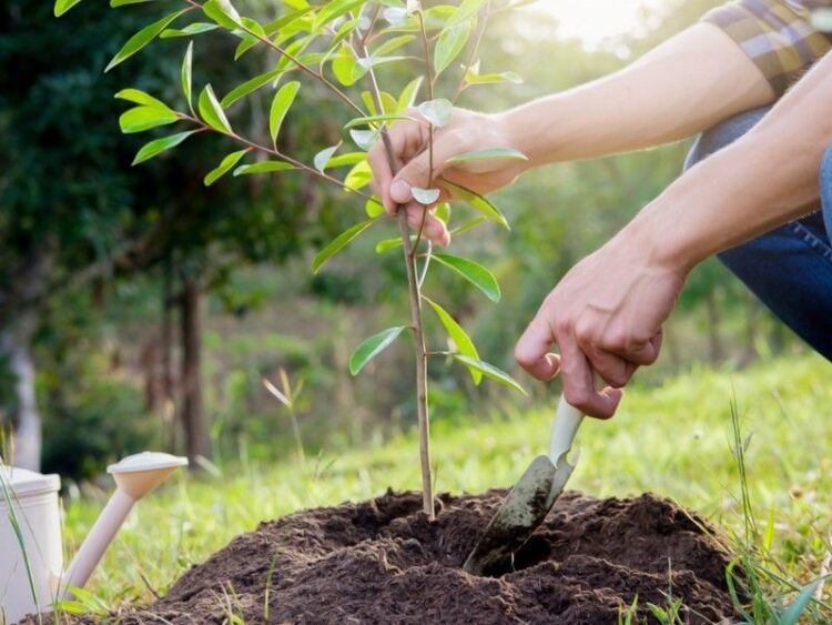 ТҰРҒЫНДАР ЖАСЫЛ ЖЕЛЕККЕ ЖАНАШЫРЛЫҚПЕН ҚАРАСА